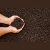 CJ Mulch and More