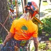Sweetwater Tree Service