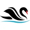 Swan Builders International
