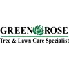 Green Rose Tree & Landscape
