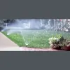 Artistic Irrigation