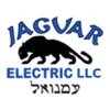 Jaguar Electric
