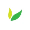 Chase Lawn Care & Landscape