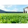 JR Landscaping & Lawn Services