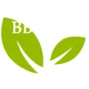 BBs Carpet Cleaners