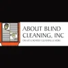 About Blind Cleaning
