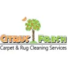 Citrus Fresh Carpet Cleaning