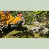 Johnie B's Stump Grinding