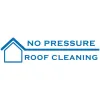 No Pressure Roof Cleaning