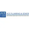 The Ace Plumber