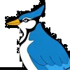 Blue Jay Fence