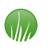 Synthetic Grass Pros