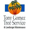 Tony Gomez Tree Service