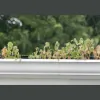Milwaukee Gutter Cleaning