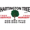 Hartington Tree