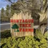 Montague Tree Farms