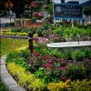 Olde Savannah Gardens