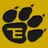 Tiger Electrical Services