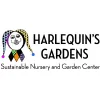 Harlequin's Gardens