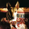The Rug Wash