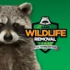 SC Wildlife Removal Specialist
