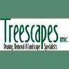 Treescapes Pruning & Removal Specialist