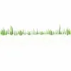 Lawngevity Landscape & Design