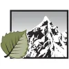 Aspen Builders
