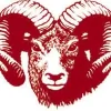 Ram System Integration