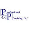 Professional Plumbing