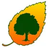 Birchcrest Tree & Landscape