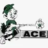 ACE Pest Control