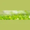 Bryan's Lawn Care Service