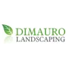 Dimauro Landscaping