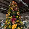 Robbins Garden Center