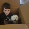 Princeton Moving