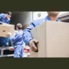 Move 4 Less