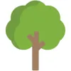 All Year Tree