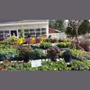 Bigelow Nurseries