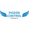 Pigeon Control Phoenix