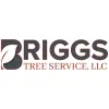 Briggs Tree Service