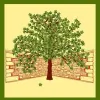 New Vista Enterprises