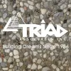 Triad Associates