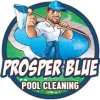 Prosper Full Pool Cleaning