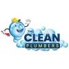 The Clean Plumbers