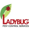 Ladybug Pest Control Services