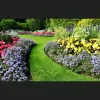 Pro-Green Landscape Management