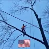 Andrew Tree Service