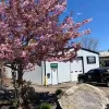 V.I.P. Landscaping