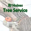 BJ Haines Tree Service